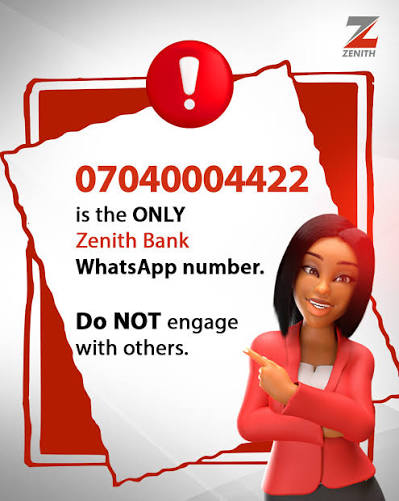 Zenith ZiVA screenshot 3